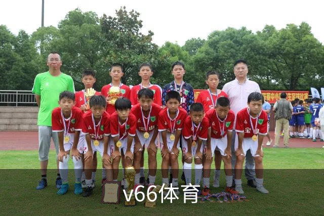 v66体育公司简介